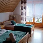 샬레 Bylinkowa Jacuzzi & Sauna *