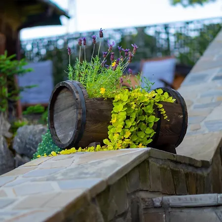 Domek alpejski Bylinkowa Jacuzzi&sauna Poronin